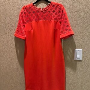 Elegant Orange Dress